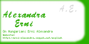 alexandra erni business card